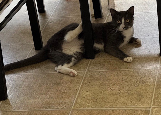 Draw me like one of your French girls