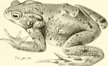 14598543968_6dae638bbc_b1-Thumbnail Image.jpg