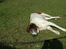 DSCF0039-Thumbnail Image.jpg
