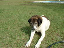 DSCF0040-Thumbnail Image.jpg