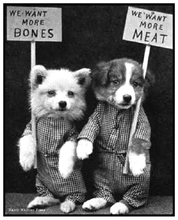 Frees-more_bones_more_meat-Thumbnail Image.jpg