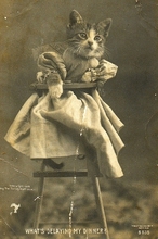 Harry_Whittier_Frees_-_What%27s_Delaying_My_Dinner-Thumbnail Image.jpg
