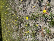 IMG_1499-Thumbnail Image.jpg