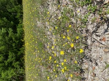IMG_1500-Thumbnail Image.jpg