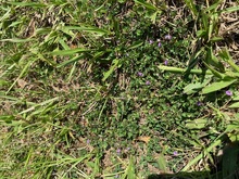 IMG_1502-Thumbnail Image.jpg