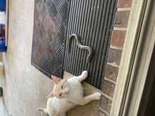 IMG_9056-Thumbnail Image.jpg