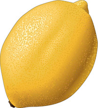 lemon-Thumbnail Image.jpg