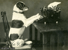 tbIq2nD-Thumbnail Image.jpg