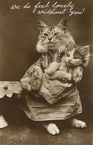 twokitty-Service File.jpg