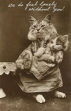 twokitty-Thumbnail Image.jpg