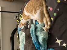 IMG_4528-Thumbnail Image.jpg