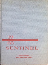 Sentinel1963_001_1-Thumbnail Image.jpg