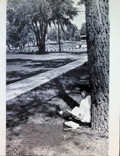 Sentinel1963_011_0-Thumbnail Image.jpg