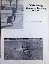 Sentinel1963_060_0-Thumbnail Image.jpg