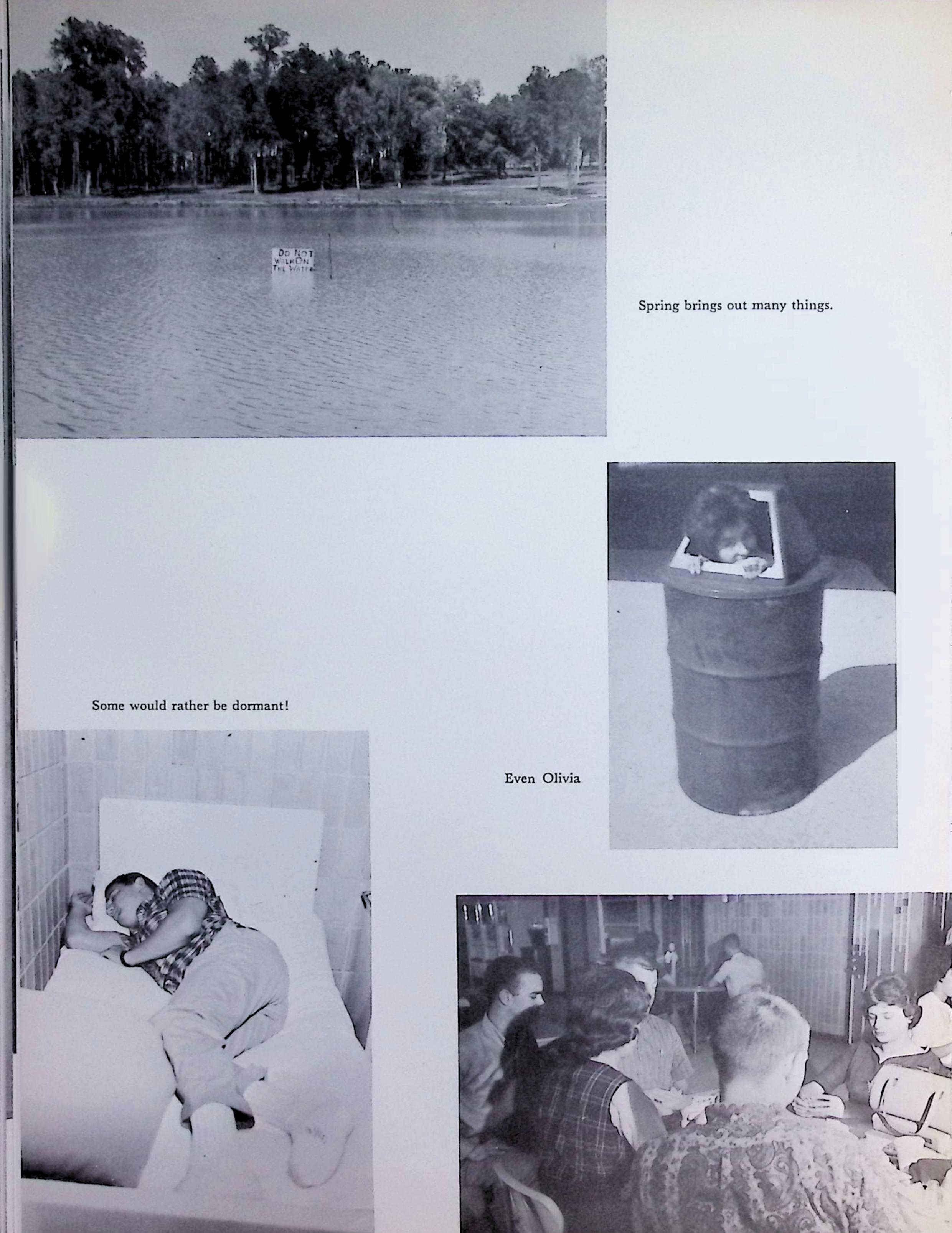 Sentinel1963_062-Service File.jpg