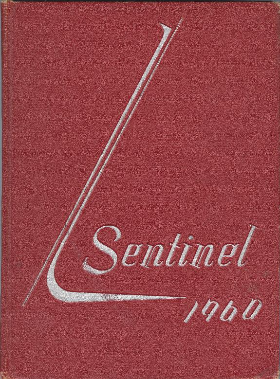 Sentinel%201960%20TEST%202%20BATCH_1%20%281%29-Service File.jpg