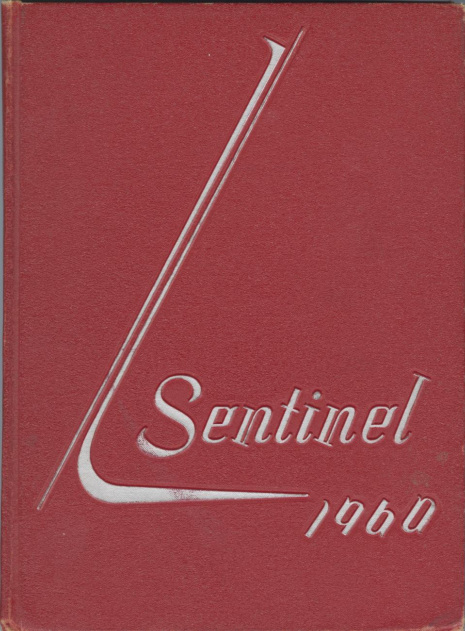 Sentinel%201960%20TEST%202%20BATCH_1%20%282%29_0-Service File.jpg